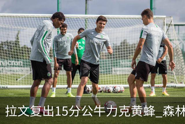 拉文复出15分公牛力克黄蜂 森林狼大胜火箭